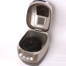 （受注生産品）　貼るかつら　ナチュラルブラック　白髪３０％入り　大判１６㎝角