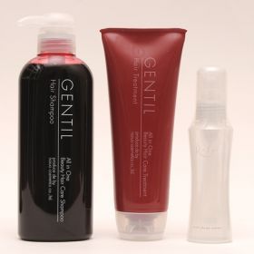 人毛かつらウィッグ用お手入れ用品3点セットR（特別価格・・・単品買いよりかなりお得です　ネット販売のみ） (型番:SET-RUFYI)