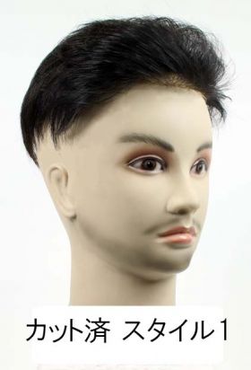 カット済オールバックスタイル
