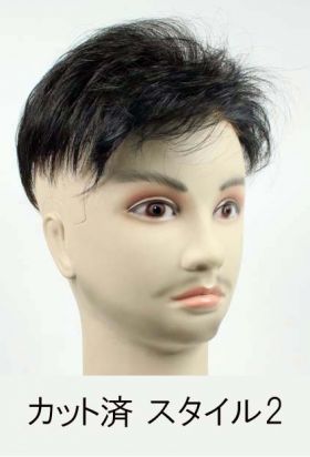 カット済スタイル2